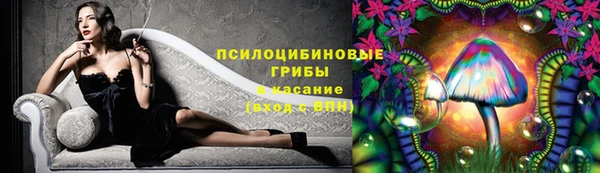 apvp Алзамай