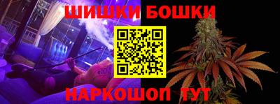 дмт Кингисепп
