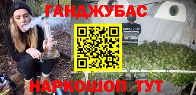 дмт Кингисепп