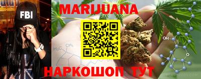 дмт Кингисепп