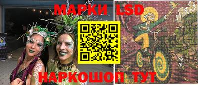 дмт Кингисепп