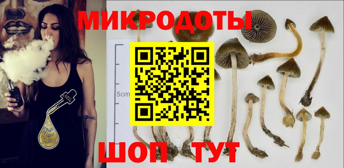 Галлюциногенные грибы прущие грибы Кизляр